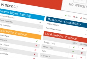 Online presence report