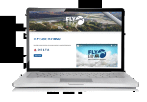 Fly Bing Website