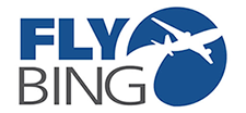 FlyBing